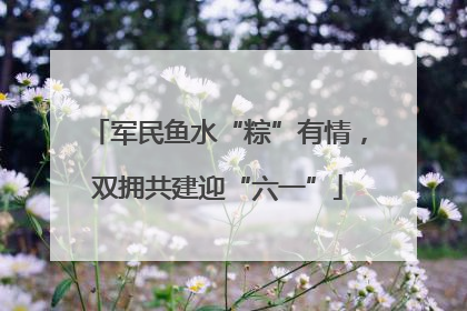 军民鱼水“粽”有情，双拥共建迎“六一”