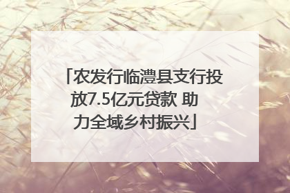 农发行临澧县支行投放7.5亿元贷款 助力全域乡村振兴