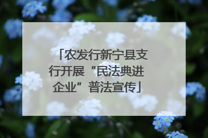 农发行新宁县支行开展“民法典进企业”普法宣传