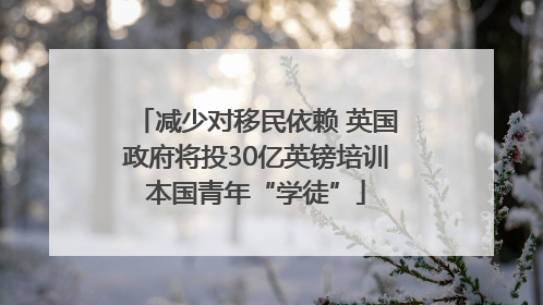 减少对移民依赖 英国政府将投30亿英镑培训本国青年“学徒”