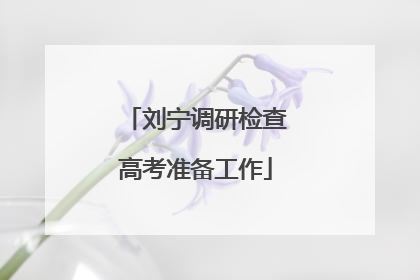 刘宁调研检查高考准备工作