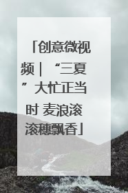 创意微视频｜“三夏”大忙正当时 麦浪滚滚穗飘香