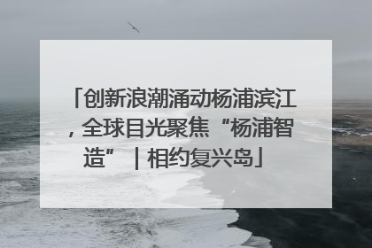 创新浪潮涌动杨浦滨江，全球目光聚焦“杨浦智造”｜相约复兴岛