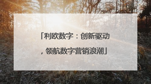 利欧数字：创新驱动，领航数字营销浪潮