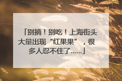 别摘！别吃！上海街头大量出现“红果果”，很多人忍不住了……