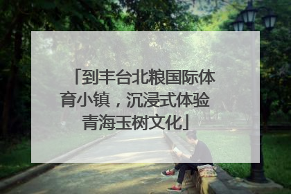 到丰台北粮国际体育小镇，沉浸式体验青海玉树文化