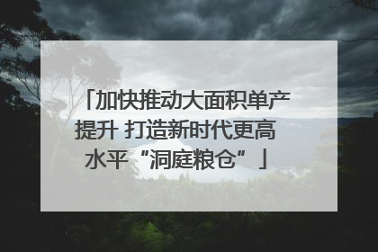 加快推动大面积单产提升 打造新时代更高水平“洞庭粮仓”