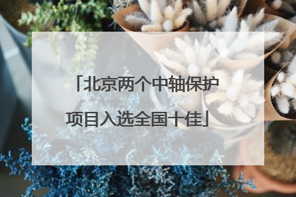 北京两个中轴保护项目入选全国十佳