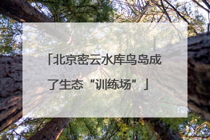 北京密云水库鸟岛成了生态“训练场”