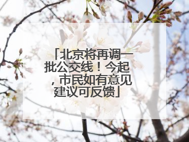 北京将再调一批公交线！今起，市民如有意见建议可反馈