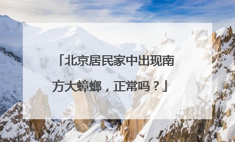 北京居民家中出现南方大蟑螂，正常吗？