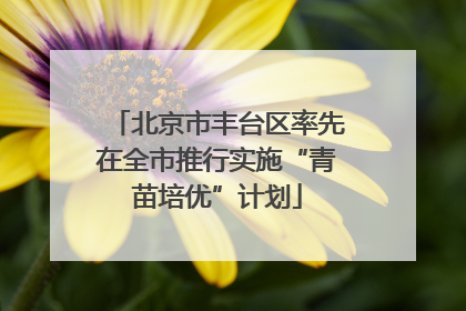 北京市丰台区率先在全市推行实施“青苗培优”计划