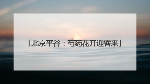 北京平谷：芍药花开迎客来