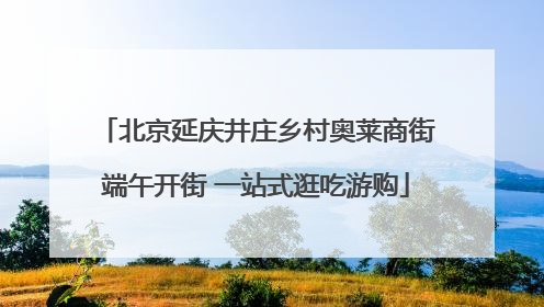 北京延庆井庄乡村奥莱商街端午开街 一站式逛吃游购