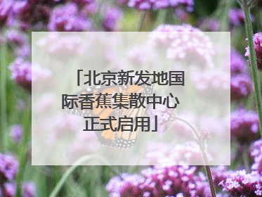 北京新发地国际香蕉集散中心正式启用