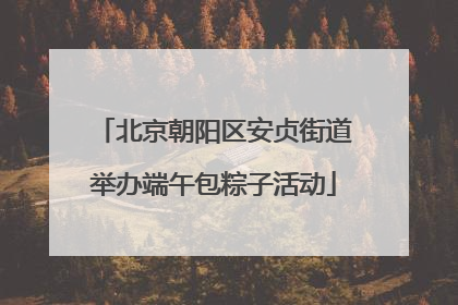 北京朝阳区安贞街道举办端午包粽子活动