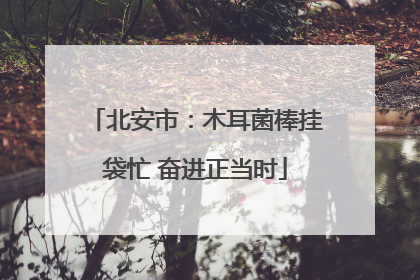 北安市：木耳菌棒挂袋忙 奋进正当时