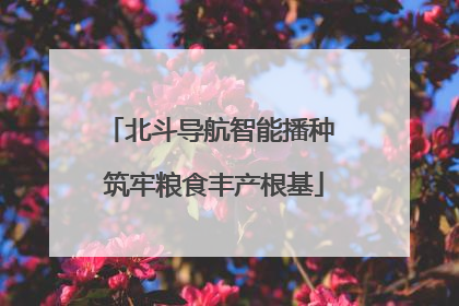 北斗导航智能播种 筑牢粮食丰产根基