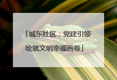 城东社区：党建引领绘就文明幸福画卷