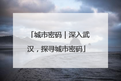 城市密码｜深入武汉，探寻城市密码