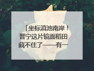 坐标滇池南岸！晋宁这片镜面稻田藏不住了——有一种叫云南的生活之365天