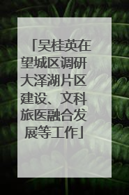 吴桂英在望城区调研大泽湖片区建设、文科旅医融合发展等工作