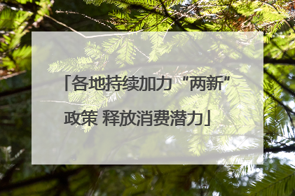 各地持续加力“两新”政策 释放消费潜力