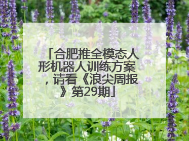 合肥推全模态人形机器人训练方案，请看《浪尖周报》第29期
