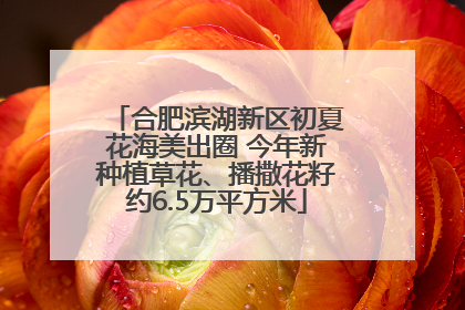 合肥滨湖新区初夏花海美出圈 今年新种植草花、播撒花籽约6.5万平方米