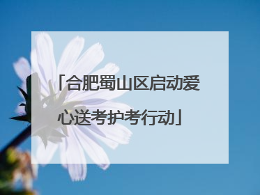 合肥蜀山区启动爱心送考护考行动