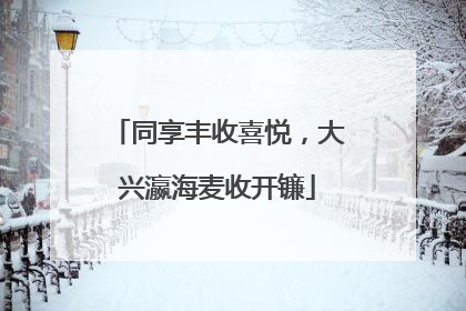 同享丰收喜悦，大兴瀛海麦收开镰