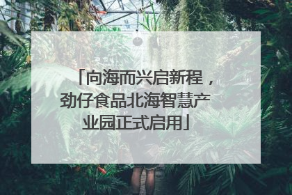 向海而兴启新程，劲仔食品北海智慧产业园正式启用