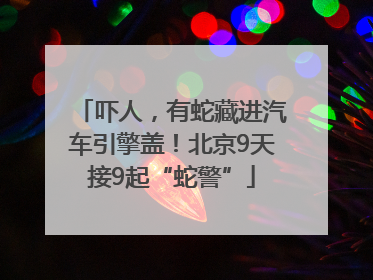 吓人，有蛇藏进汽车引擎盖！北京9天接9起“蛇警”