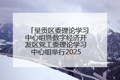 呈贡区委理论学习中心组暨数字经济开发区党工委理论学习中心组举行2025年第七次学习会议