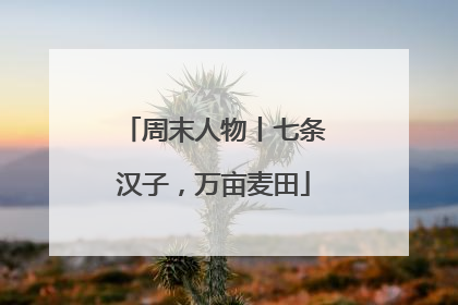 周末人物丨七条汉子，万亩麦田
