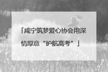 咸宁筑梦爱心协会用深情厚意“护航高考”