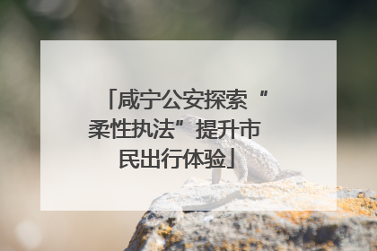 咸宁公安探索“柔性执法”提升市民出行体验