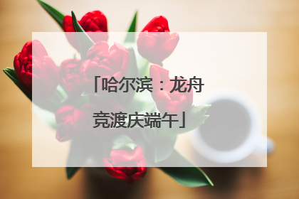 哈尔滨：龙舟竞渡庆端午