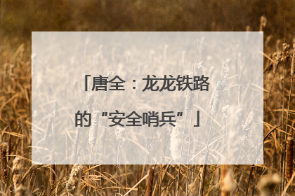 唐全：龙龙铁路的“安全哨兵”