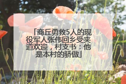 商丘勇救5人的现役军人张伟回乡受夹道欢迎，村支书：他是本村的骄傲