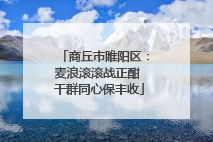 商丘市睢阳区：麦浪滚滚战正酣 干群同心保丰收