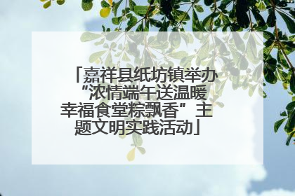 嘉祥县纸坊镇举办“浓情端午送温暖 幸福食堂粽飘香”主题文明实践活动
