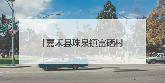 嘉禾县珠泉镇富硒村：深耕“硒”望田野 激活乡村振兴新动能