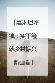 嘉禾坦坪镇：实干绘就乡村振兴新画卷