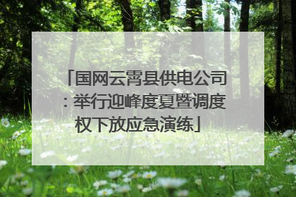 国网云霄县供电公司：举行迎峰度夏暨调度权下放应急演练