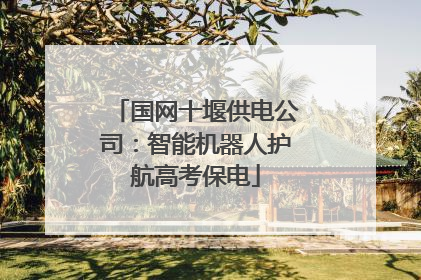 国网十堰供电公司：智能机器人护航高考保电