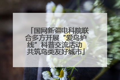 国网新疆电科院联合多方开展“爱鸟护线”科普交流活动 共筑鸟类友好城市