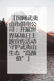 国网武夷山市供电公司：开展世界环境日主题宣传活动守护武夷山生态“高颜值”