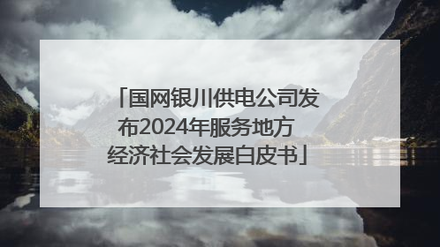 国网银川供电公司发布2024年服务地方经济社会发展白皮书