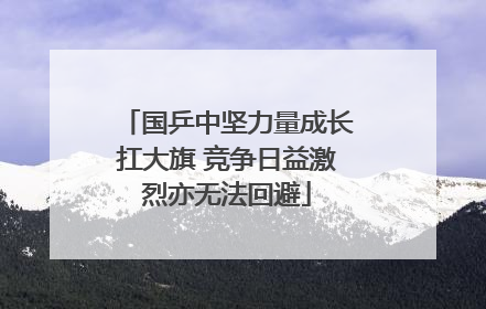 国乒中坚力量成长扛大旗 竞争日益激烈亦无法回避